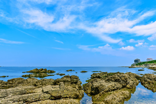 養(yǎng)馬島