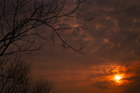 夕陽