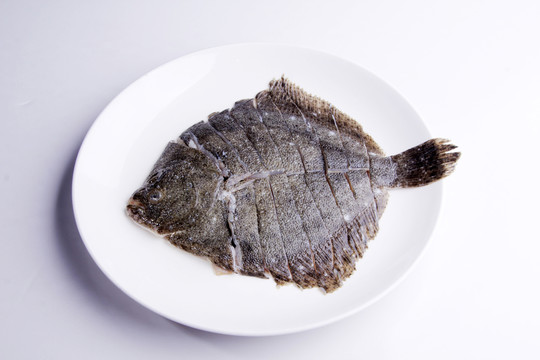 多寶魚