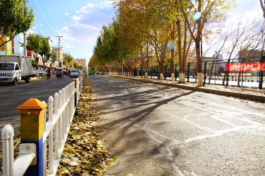 城市 街道 林蔭道 馬路 天空