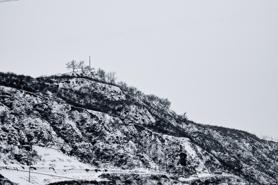 冬日雪景黑白