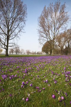 Rheinpark公園，杜塞爾多夫