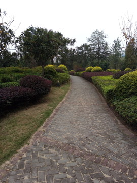 公園小路