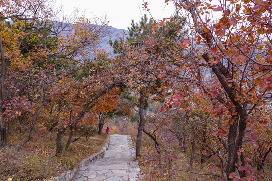 香山