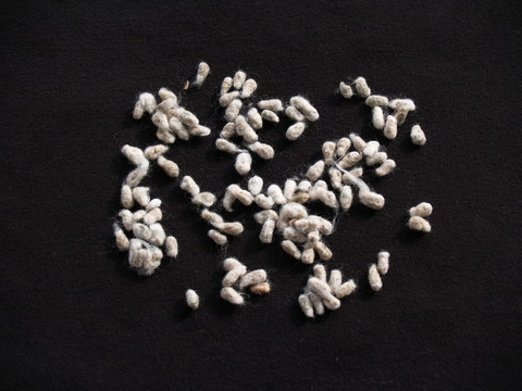 工業(yè)