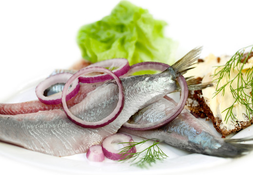 matjes鯡魚