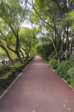 市民健身跑道
