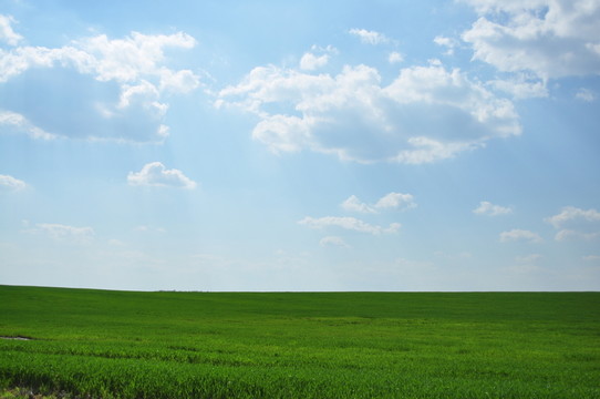 田