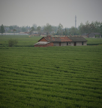 田原田野
