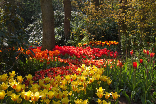 公園