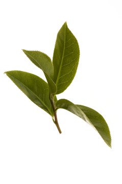 美國技術(shù)教育協(xié)會(huì)