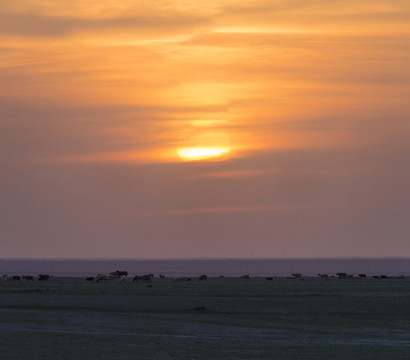 夕陽
