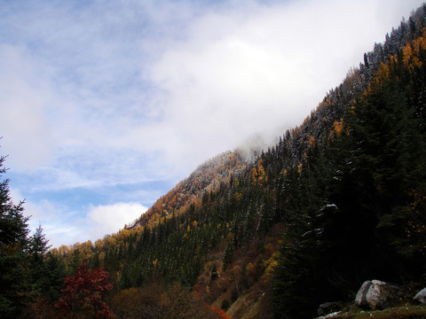 九寨溝