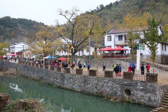 安陸 錢沖 銀杏谷風(fēng)景