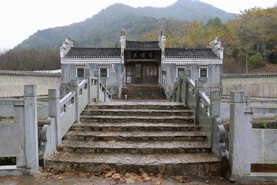 安陸錢沖銀杏谷風(fēng)景