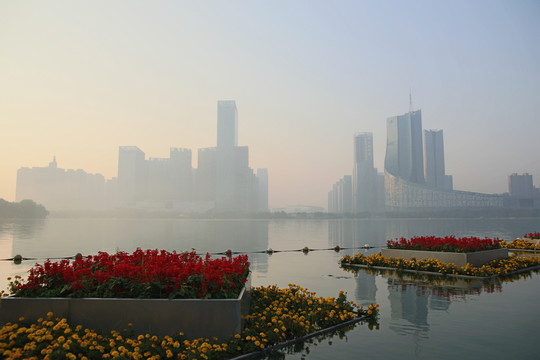 合肥天鵝湖早晨