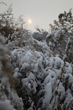 冰雪 冰天雪地 冬天 白雪皚皚