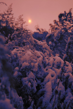冰雪 冰天雪地 冬天 白雪皚皚