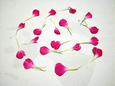 花瓣