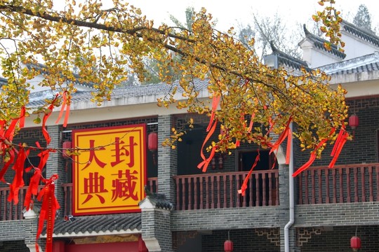 隨州銀杏谷