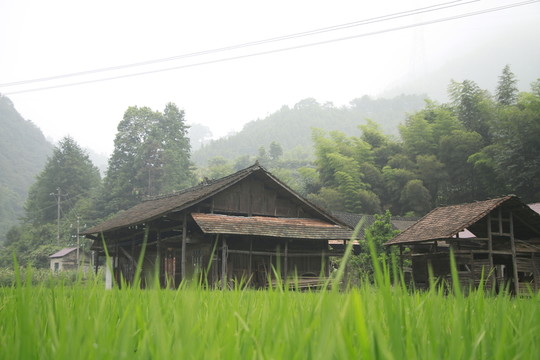 農(nóng)村木屋
