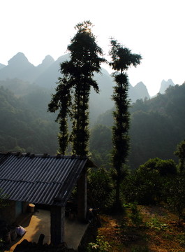 漓江峽谷