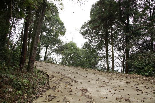 山間小路