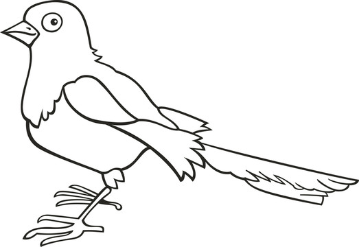 鳥