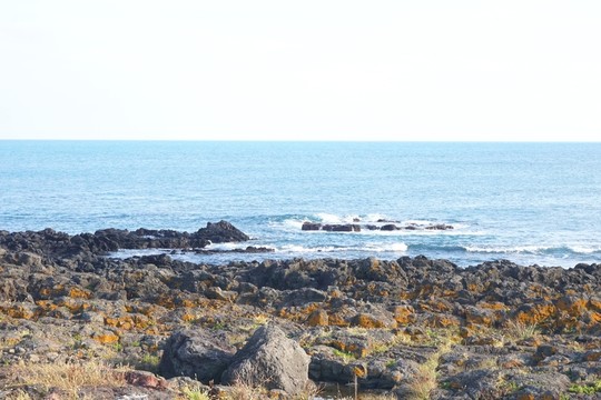 牛島