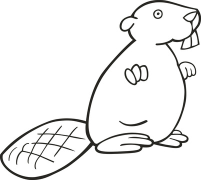 動物
