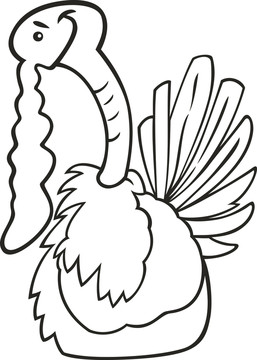 鳥