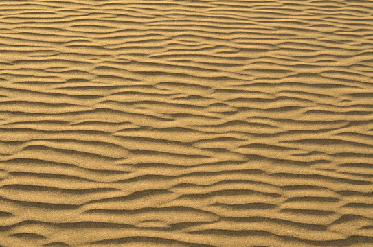 海灘