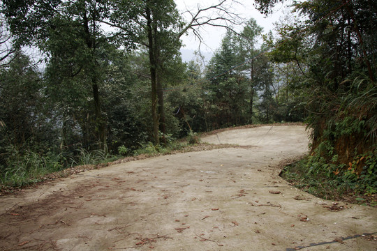 山間小路