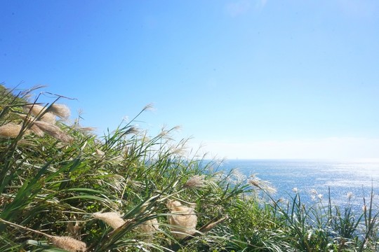 牛島
