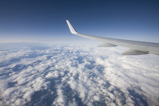 旅行
