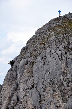 山