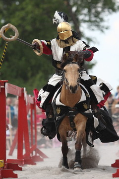 武士