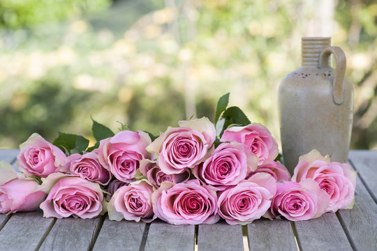 美丽的玫瑰和一个古董花瓶