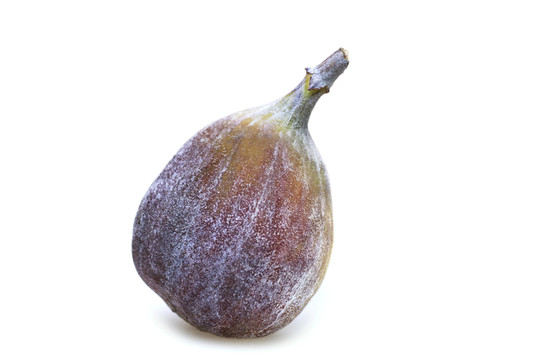 氣味清新地
