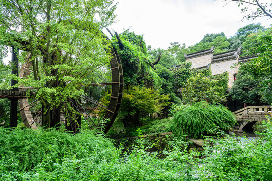 園林綠化景觀