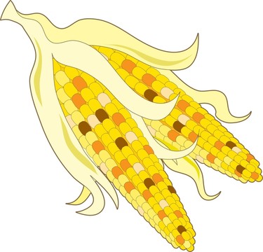 說明