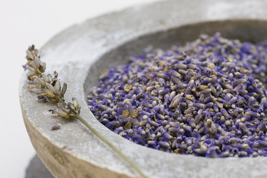健康護理產(chǎn)品用薰衣草種子