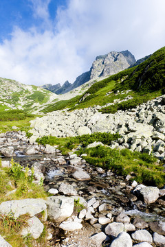 山