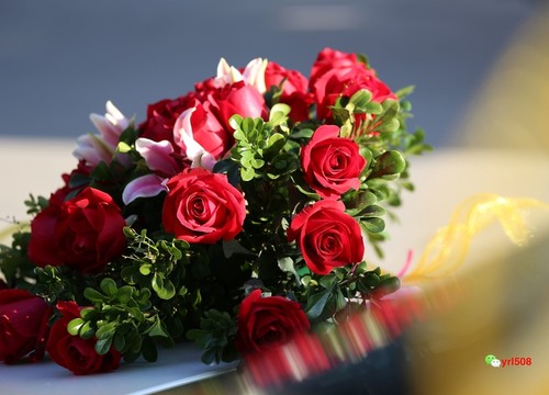 玫瑰花