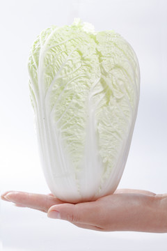 手拿著大白菜