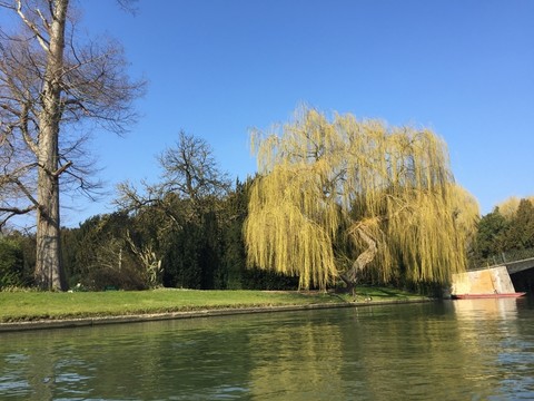 倫敦風(fēng)景