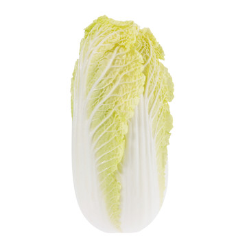 大白菜