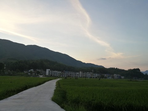 鄉(xiāng)間小路