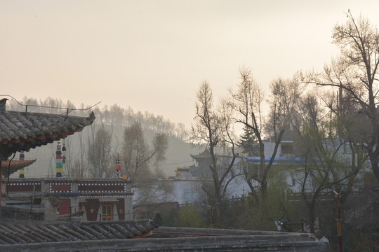 寺廟