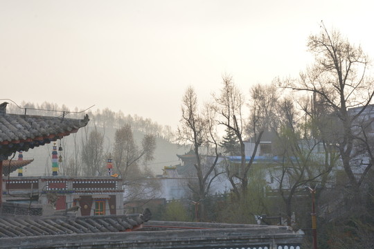 寺廟